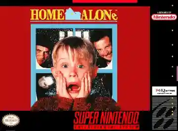 Home Alone (USA)